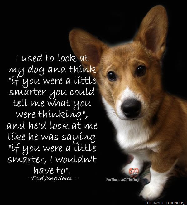 [ImageProxy%25201%255B3%255D.jpg]