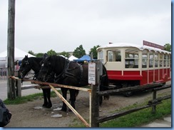4793 St. Jacobs Farmers' Market - St Jacobs Horse Drawn Tours (Duke on right Mickey on left)