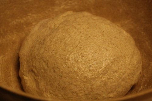 einkorn-bread-sponge12