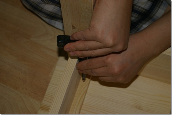 Gallery4452_7