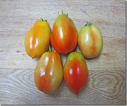 Roma tomatoes