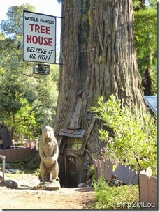 Oct 23, 2013: World Famous Tree house
