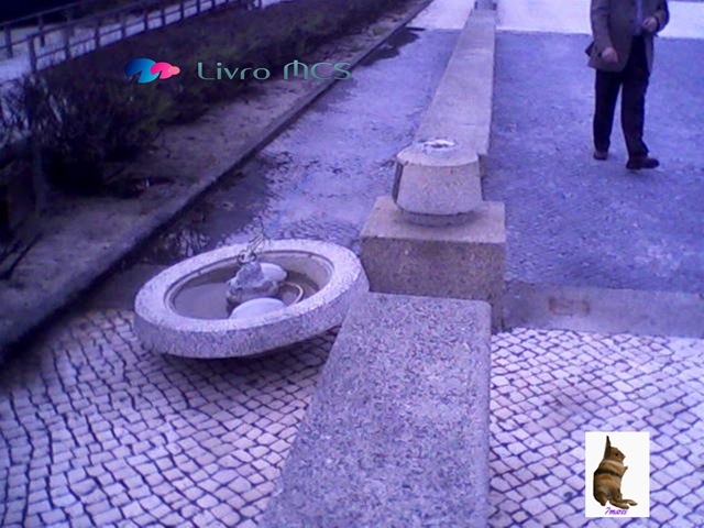 [Bolg%2520Gazeta%2520de%2520Espinho011%2520Livro%2520MCS%255B2%255D.jpg]