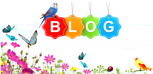 nosso blog é um jardim nosso blog é um jardim
