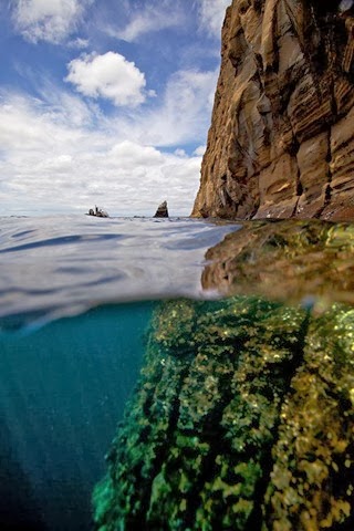 [Split-View-Galapagos-Islands%255B6%255D%255B2%255D.jpg]