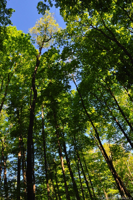 [DSC_0028%255B3%255D.jpg]