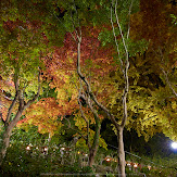 朝護孫子寺,紅葉(PK3_0202,F3.5,16mm,K3)2014yaotomi_.jpg