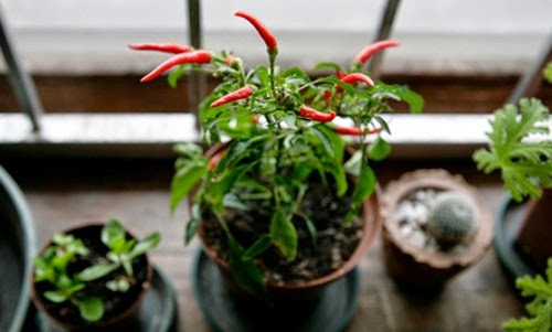 [clip_image001%255B3%255D.jpg]