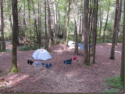tent camping Cat gap lou trail in wildlife center in pisgah near trout hatchery