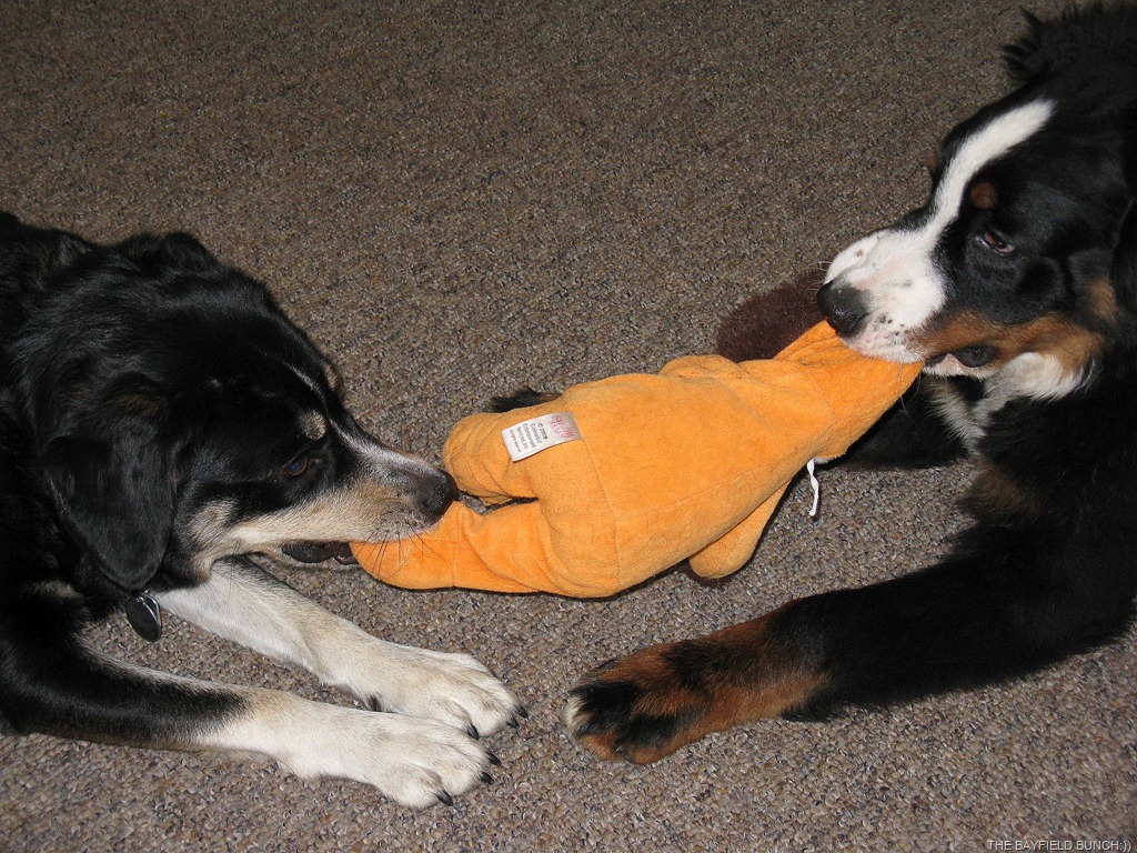 [IMG_3168%255B9%255D.jpg]