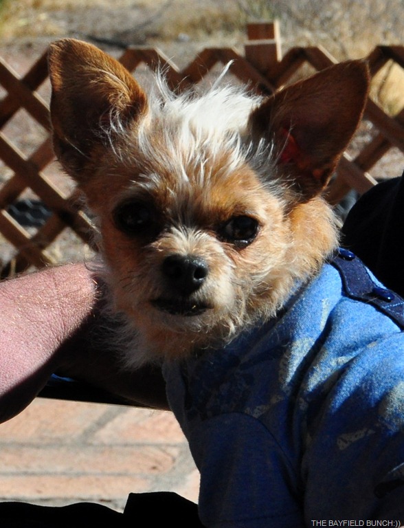 [DSC_0048%255B4%255D.jpg]