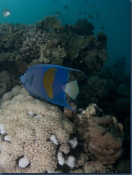 IMG_3098 IMG_3098