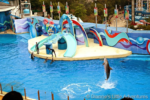 hong kong, ocean park, family, love, dolphin show, dolphins, sea adventure