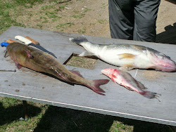 2013-06-17 Hecla Island - 071