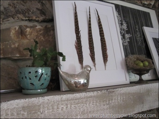 feathers for fall mantel
