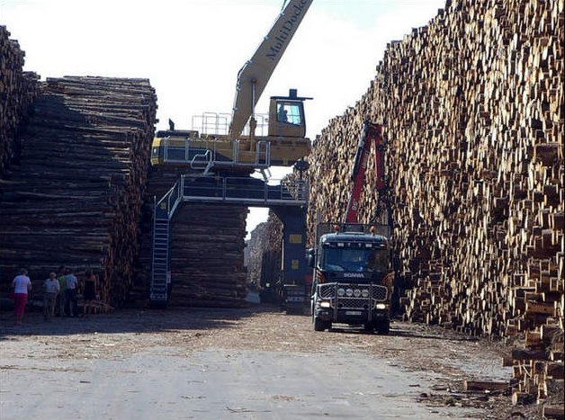 Byholma-Largest-Timber-Storage-World-2.jpg