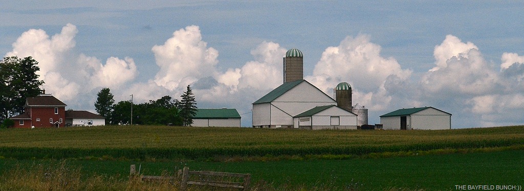 [DSC_0035%255B4%255D.jpg]