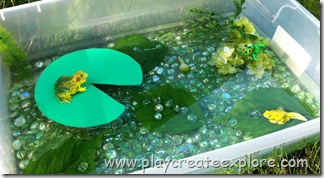 IMG_5468 IMG_5468