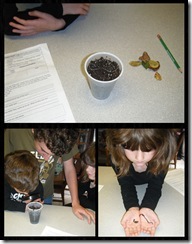 Science 1 - Earthworms