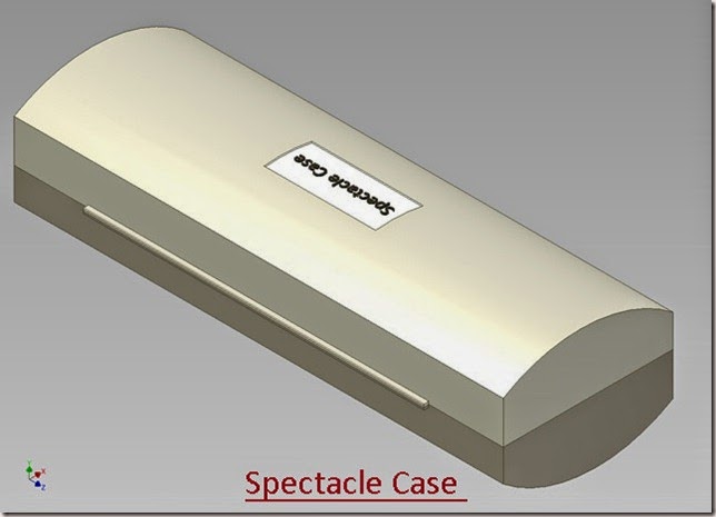 Spectacle Case _2
