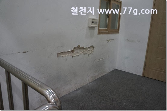 77gDSC07060-20131108-100756