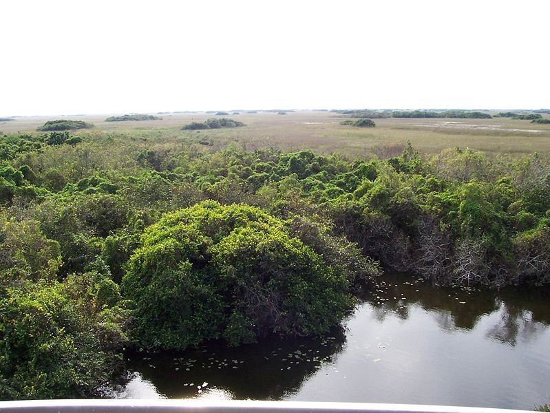 [Evergladesoverlook%255B4%255D.jpg]