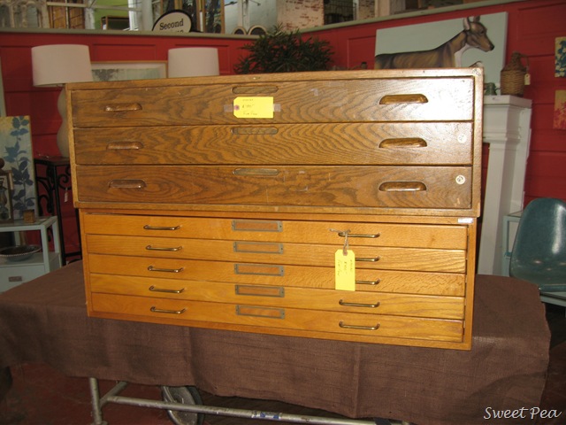 [BDS8%255B3%255D.jpg]