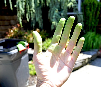 Green thumb gardening