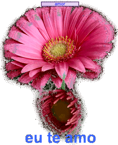 oie_overlay5555.gif