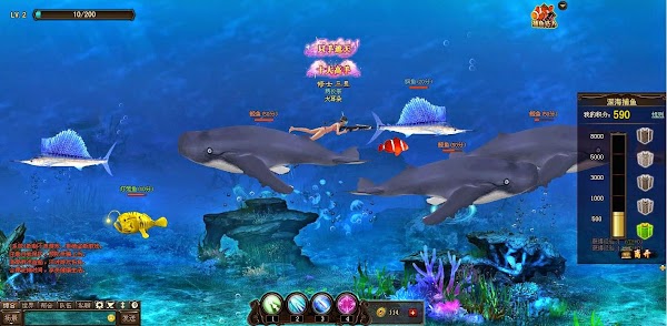 Bat ca duoi bien 2.jpg