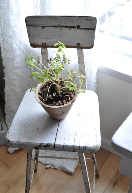 stool plant stand