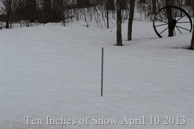 Ten inches of snow at the snow stick