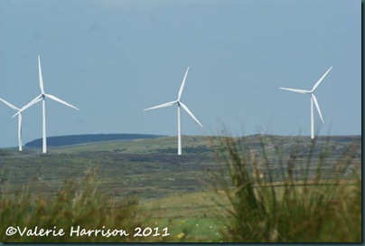 2-wind-farm