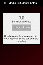 Concept Martial Arts poster 5