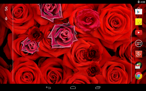 免費下載個人化APP|Roses Live Wallpaper app開箱文|APP開箱王