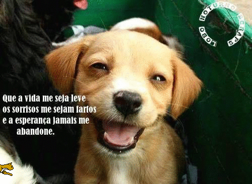 photo_name.gif