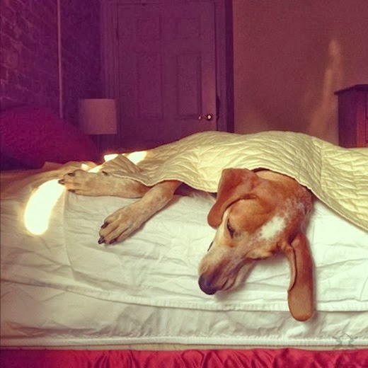 [1354750268_maddieonthings16.jpg]