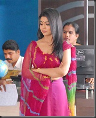 Actress Shriya Saran in Nuvva Nena