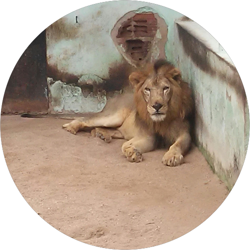 lucas viajando o brasil