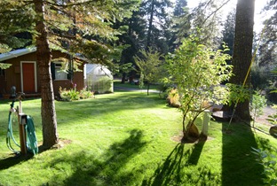 the lawns are still nice and green in the morning light