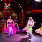 IMG_6591.jpg