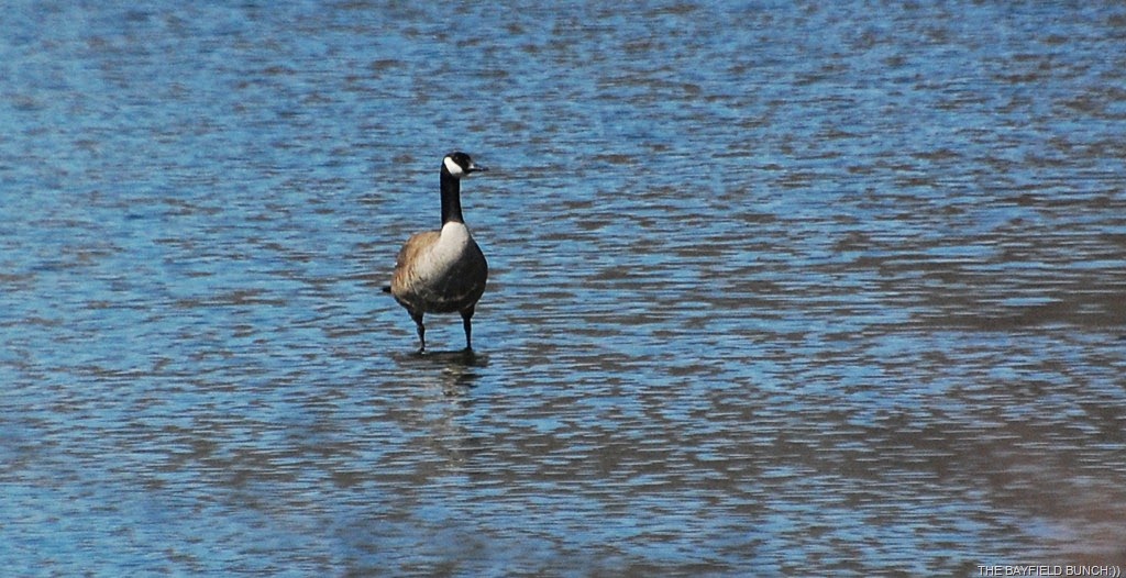 [DSC_1411%255B4%255D.jpg]