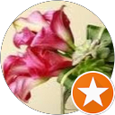 Christina Rich profile picture