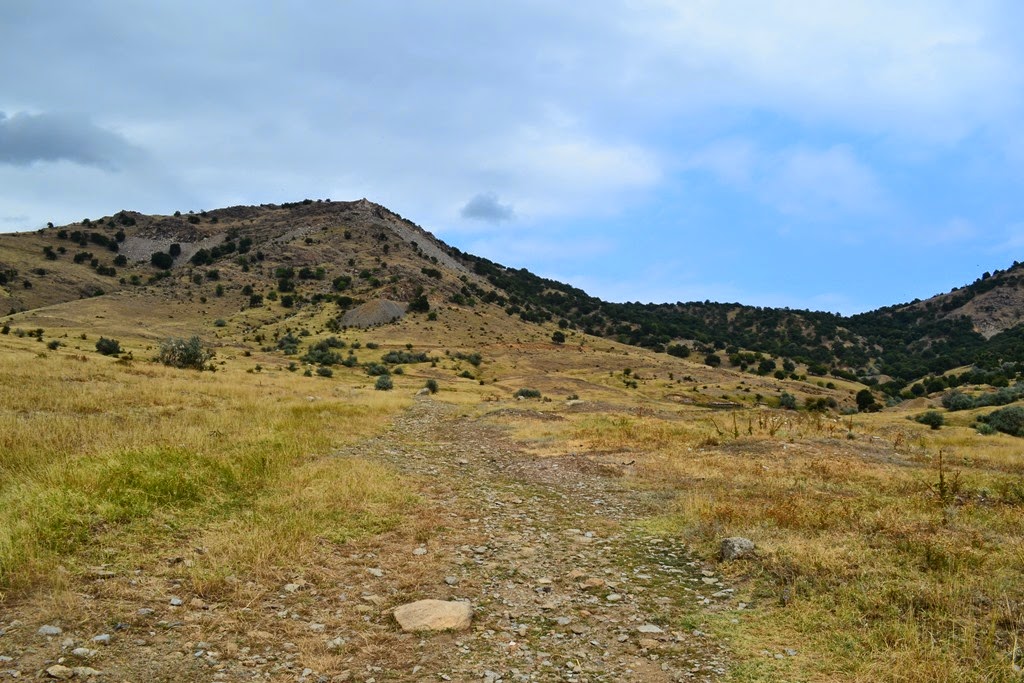 [DSC_69953.jpg]