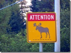 Roadside moose sign