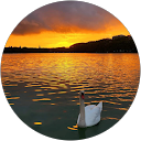 Image Google de elvyna lollhyhop