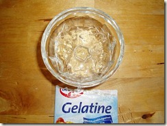 2 25 gelatine weken P1010013