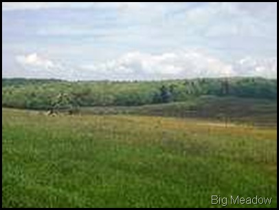Big meadow