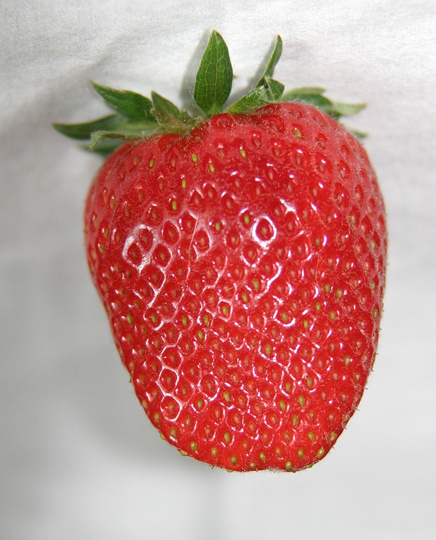 [Strawberry%2520Mmmmm%255B5%255D.jpg]