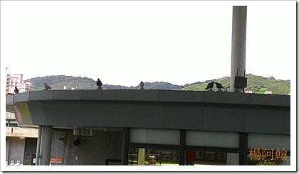 1106 054 - 三鶯藝術村